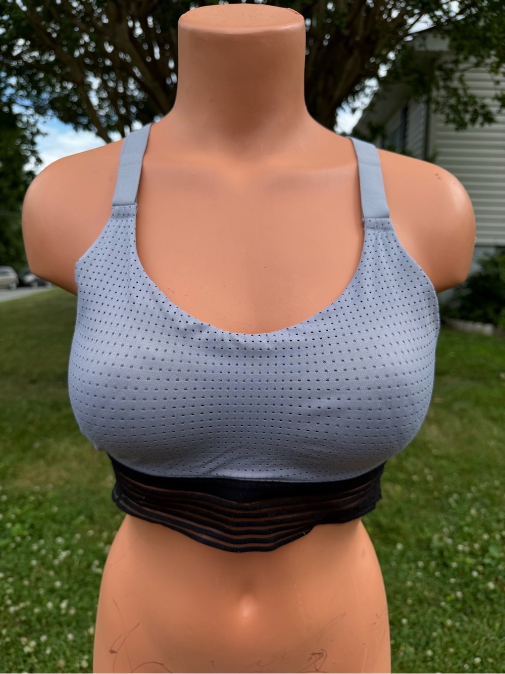 Light Blue Perforated Sports Bra with Black Band